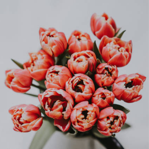 Bright Flowers