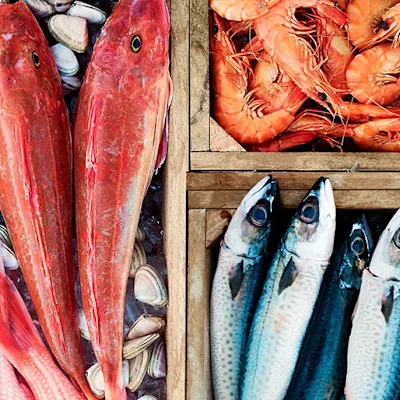 Peter Roan Seafood
